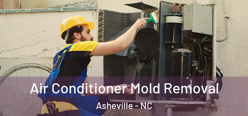  Air Conditioner Mold Removal Asheville - NC