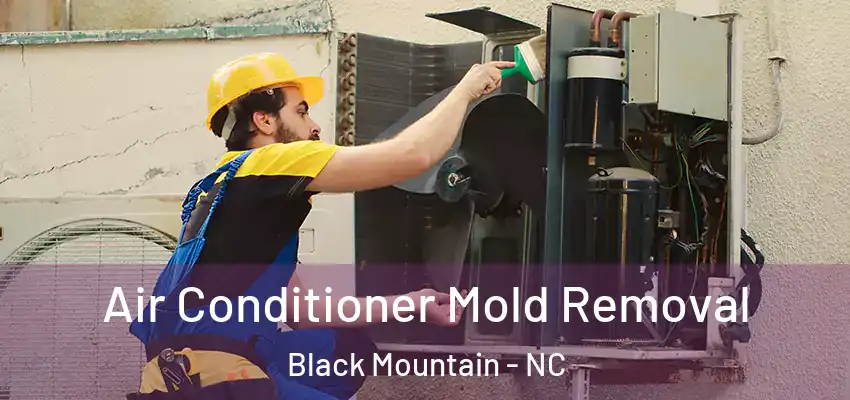  Air Conditioner Mold Removal Black Mountain - NC