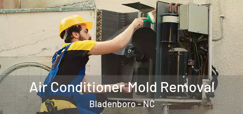 Air Conditioner Mold Removal Bladenboro - NC