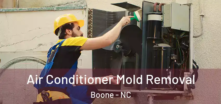Air Conditioner Mold Removal Boone - NC