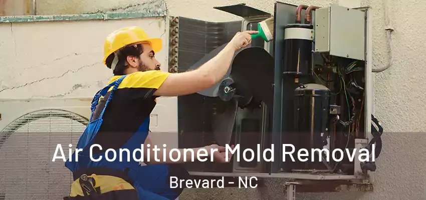  Air Conditioner Mold Removal Brevard - NC