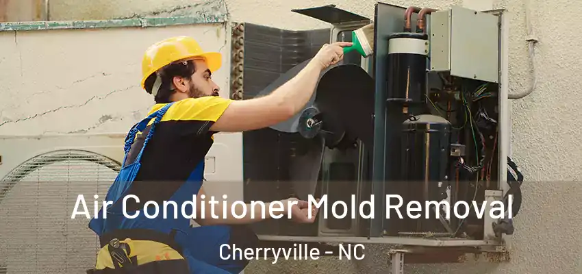 Air Conditioner Mold Removal Cherryville - NC