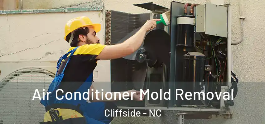  Air Conditioner Mold Removal Cliffside - NC