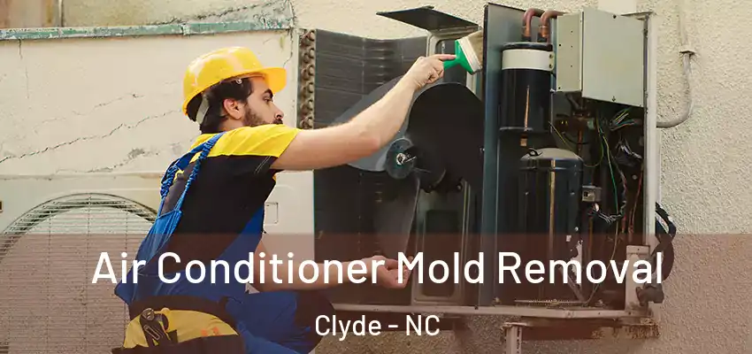  Air Conditioner Mold Removal Clyde - NC