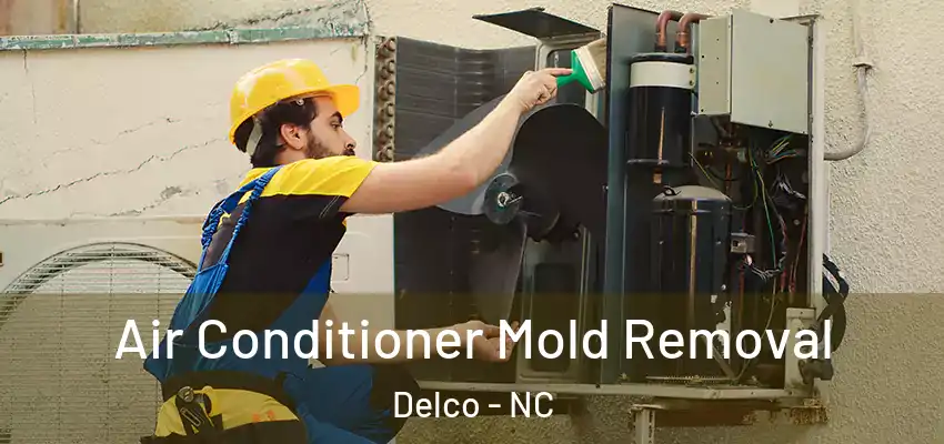 Air Conditioner Mold Removal Delco - NC