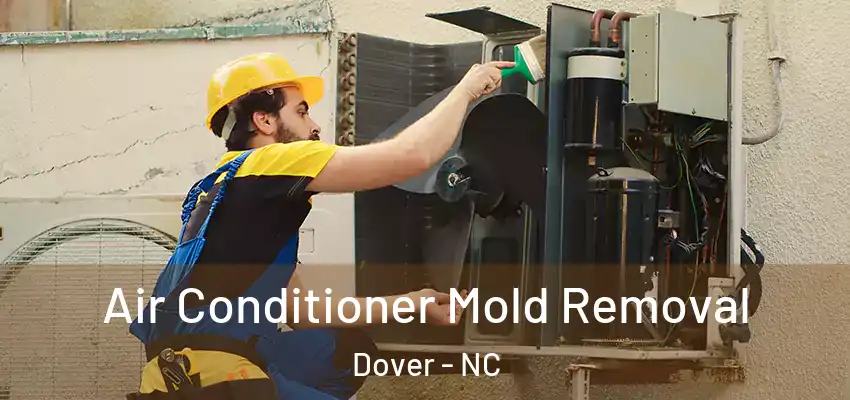  Air Conditioner Mold Removal Dover - NC
