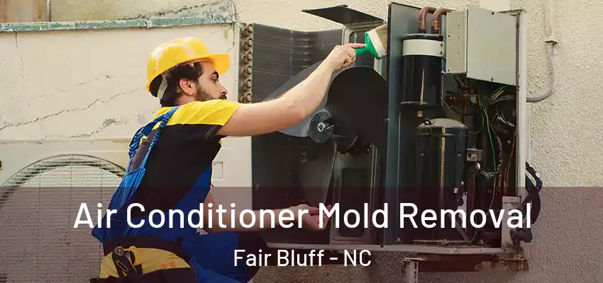 Air Conditioner Mold Removal Fair Bluff - NC