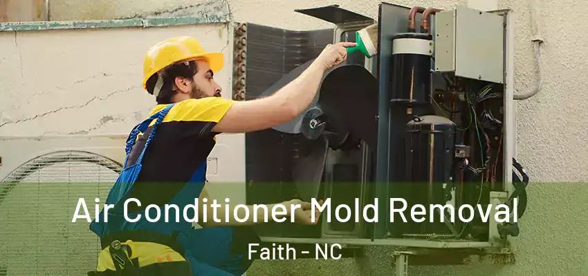 Air Conditioner Mold Removal Faith - NC