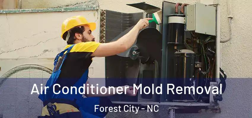 Air Conditioner Mold Removal Forest City - NC