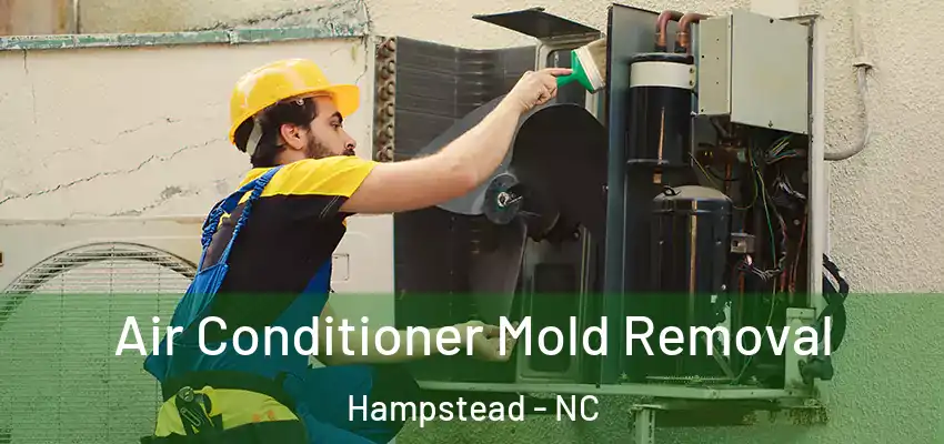 Air Conditioner Mold Removal Hampstead - NC