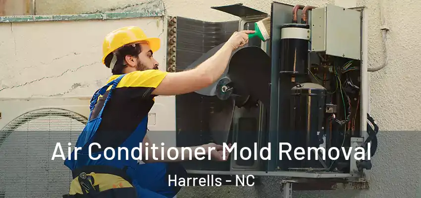  Air Conditioner Mold Removal Harrells - NC