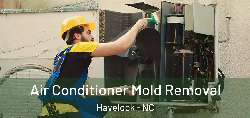  Air Conditioner Mold Removal Havelock - NC