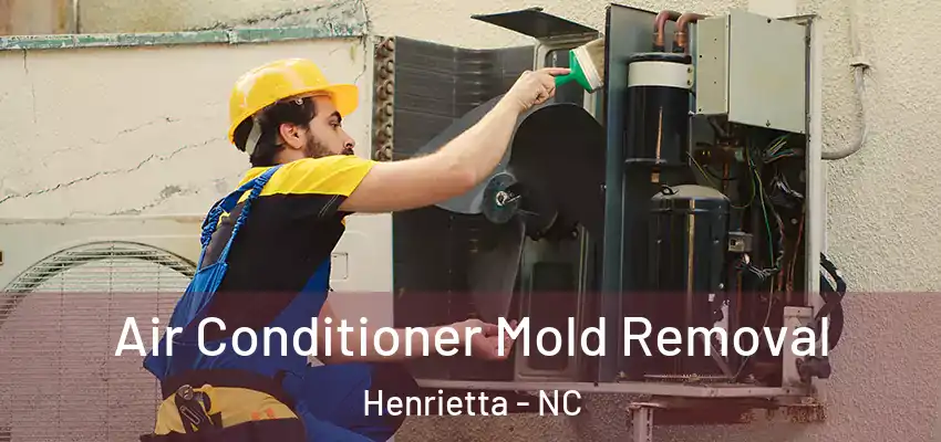 Air Conditioner Mold Removal Henrietta - NC