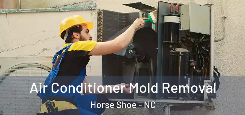 Air Conditioner Mold Removal Horse Shoe - NC