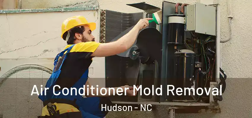 Air Conditioner Mold Removal Hudson - NC
