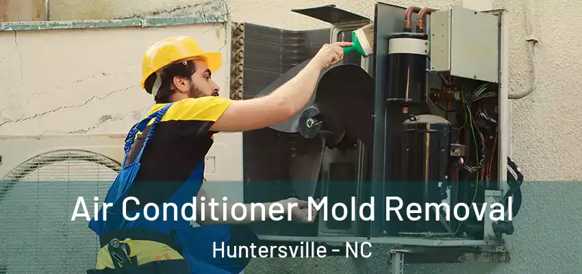  Air Conditioner Mold Removal Huntersville - NC