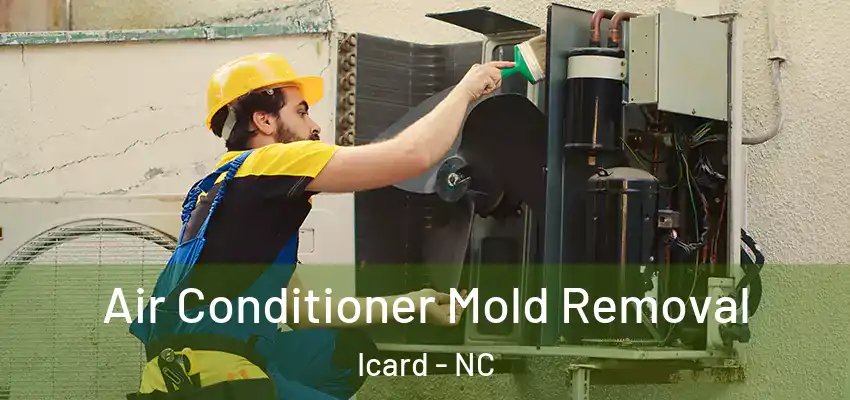 Air Conditioner Mold Removal Icard - NC
