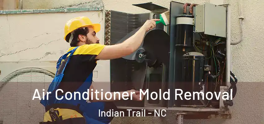 Air Conditioner Mold Removal Indian Trail - NC