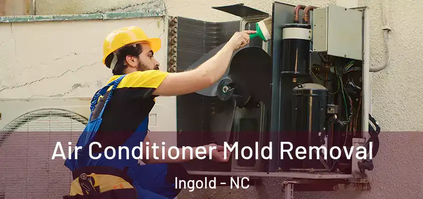  Air Conditioner Mold Removal Ingold - NC
