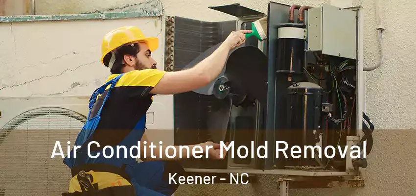  Air Conditioner Mold Removal Keener - NC
