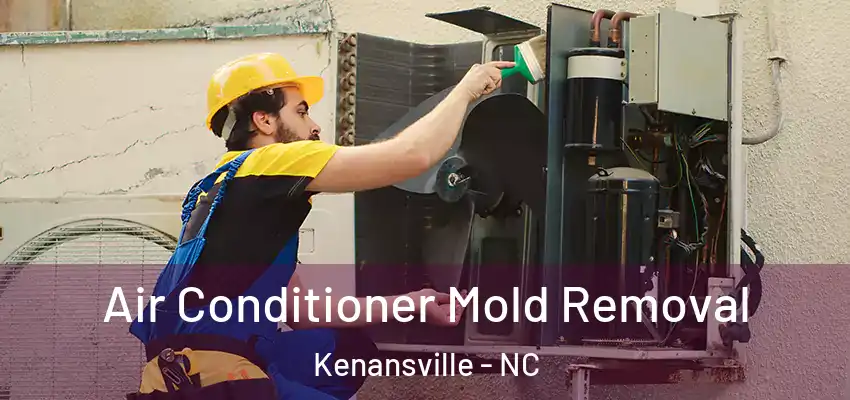  Air Conditioner Mold Removal Kenansville - NC