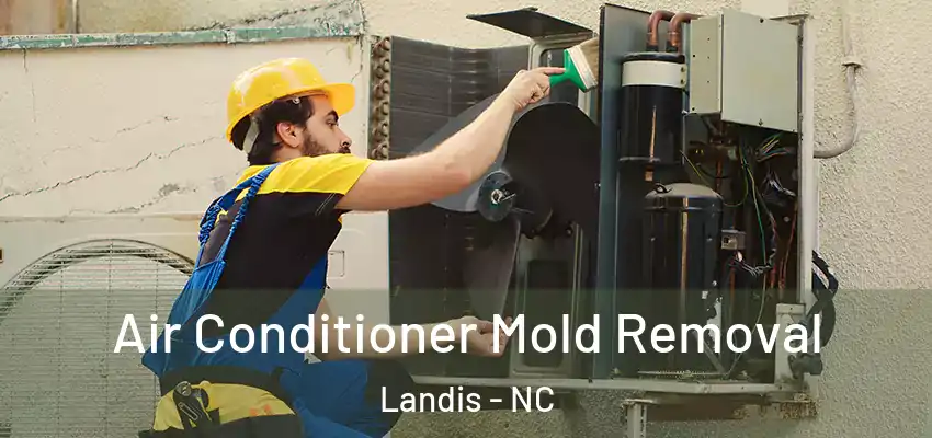 Air Conditioner Mold Removal Landis - NC