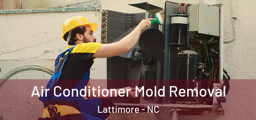  Air Conditioner Mold Removal Lattimore - NC