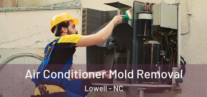 Air Conditioner Mold Removal Lowell - NC