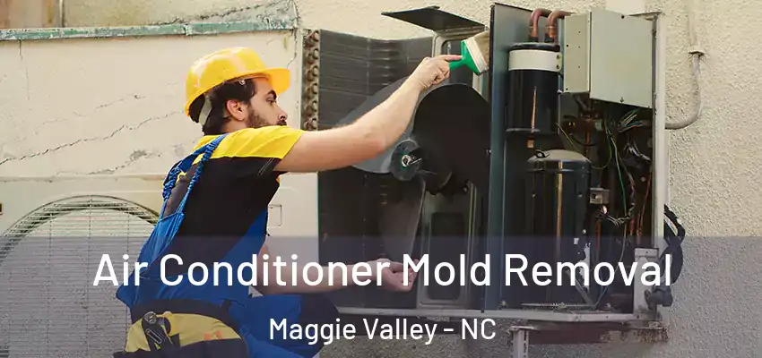  Air Conditioner Mold Removal Maggie Valley - NC