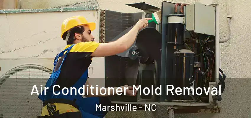 Air Conditioner Mold Removal Marshville - NC