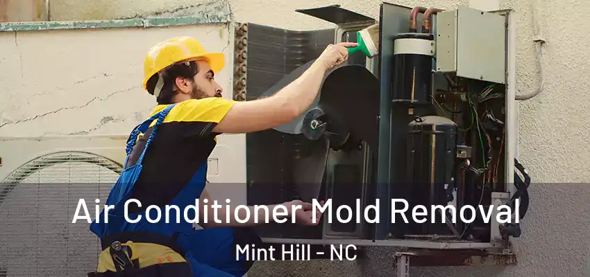 Air Conditioner Mold Removal Mint Hill - NC