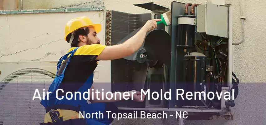  Air Conditioner Mold Removal North Topsail Beach - NC
