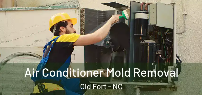 Air Conditioner Mold Removal Old Fort - NC