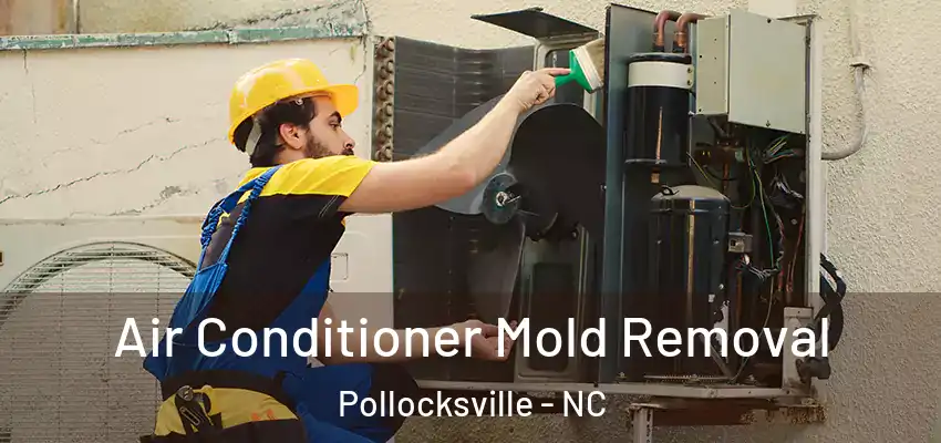 Air Conditioner Mold Removal Pollocksville - NC