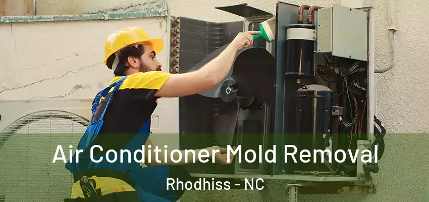 Air Conditioner Mold Removal Rhodhiss - NC