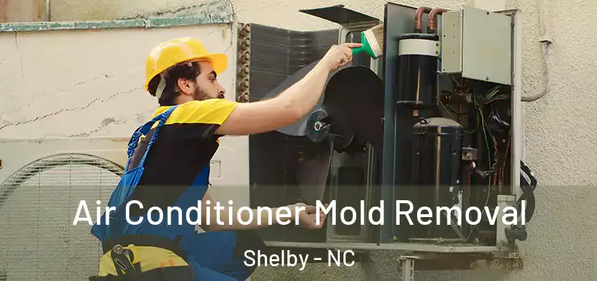 Air Conditioner Mold Removal Shelby - NC