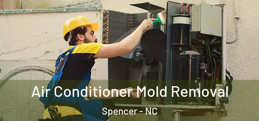  Air Conditioner Mold Removal Spencer - NC