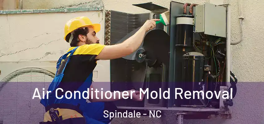 Air Conditioner Mold Removal Spindale - NC