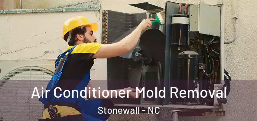  Air Conditioner Mold Removal Stonewall - NC