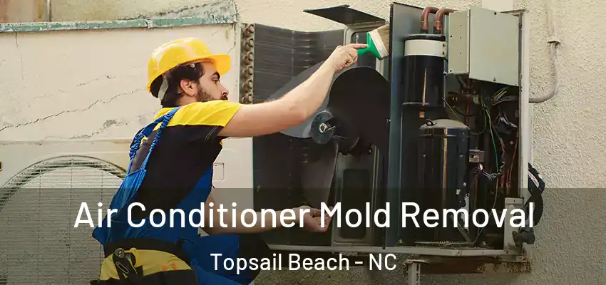 Air Conditioner Mold Removal Topsail Beach - NC