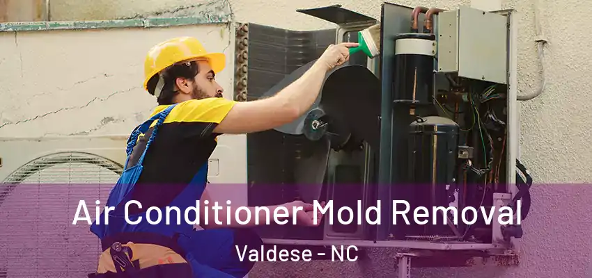 Air Conditioner Mold Removal Valdese - NC