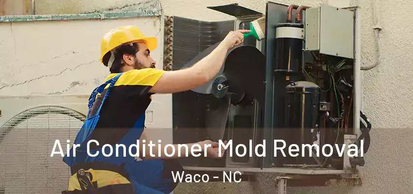  Air Conditioner Mold Removal Waco - NC