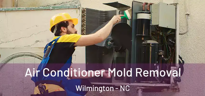 Air Conditioner Mold Removal Wilmington - NC
