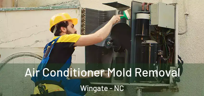 Air Conditioner Mold Removal Wingate - NC