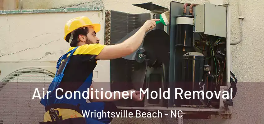 Air Conditioner Mold Removal Wrightsville Beach - NC