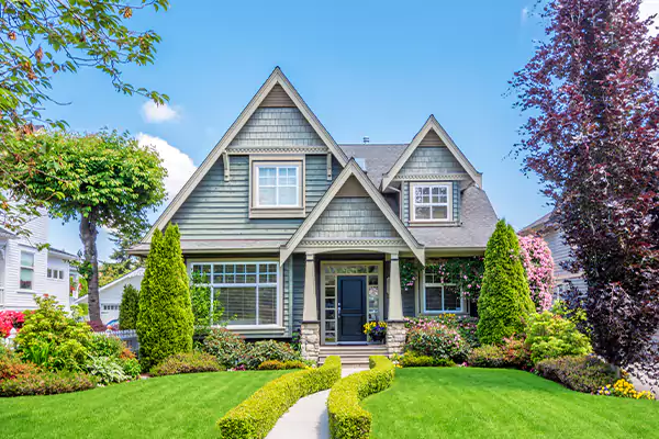 Black Mold Clean Up in Jacksonville, NC