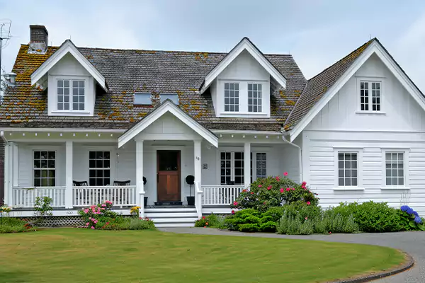 Mold Removal Services in Jacksonville, NC