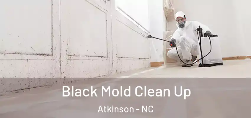  Black Mold Clean Up Atkinson - NC