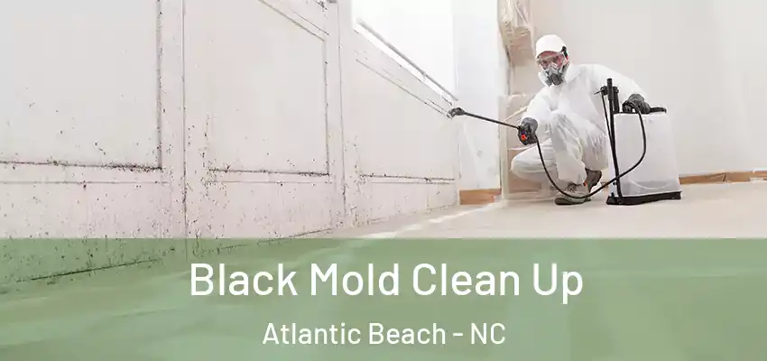 Black Mold Clean Up Atlantic Beach - NC