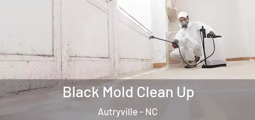 Black Mold Clean Up Autryville - NC